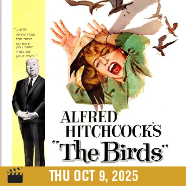 The Birds 1963