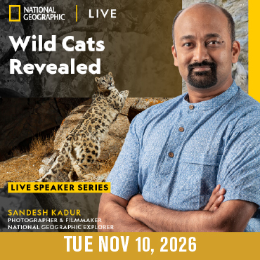 National Geographic Live presents: Wild Cats Revealed with Sandesh Kadur